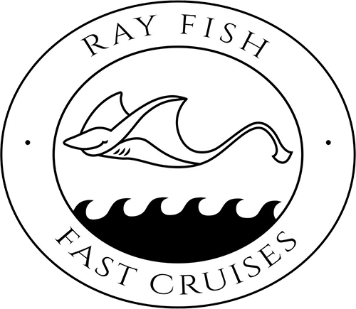 Ray Fish Fast Cruises to Sanur  (Bali)  