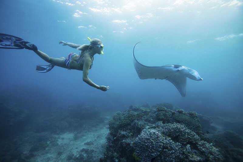 Snorkeling at Manta Bay Nusa Penida Bali