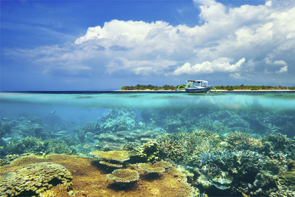 Fast Boat to Gili Meno