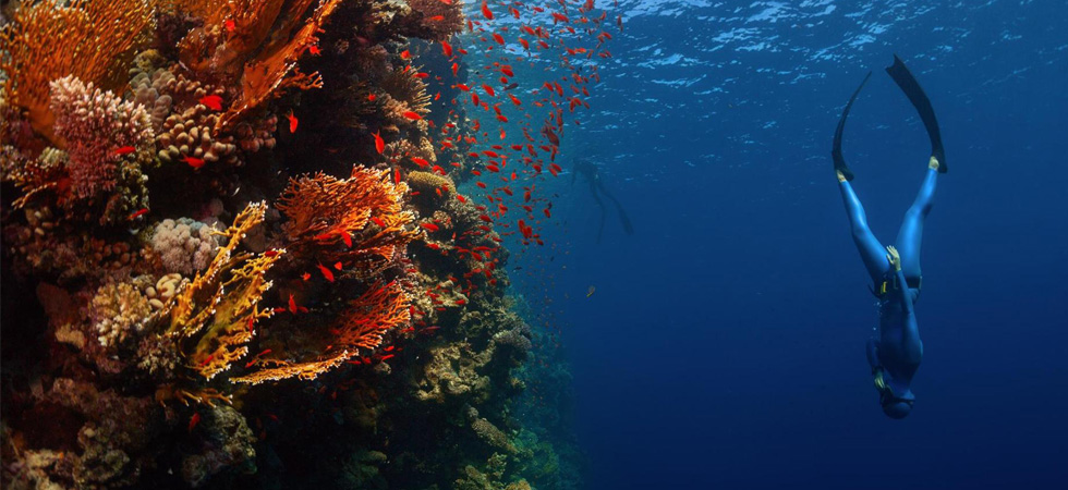 Freediving on Gili Air